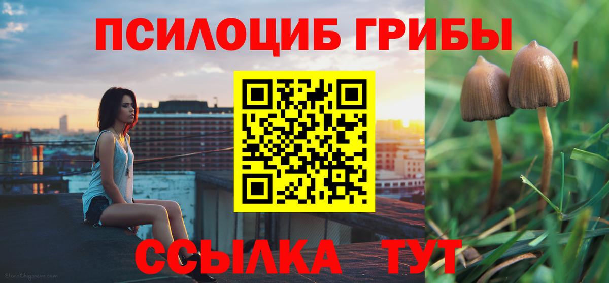 Димитровград  Галлюциногенные грибы Magic Shrooms  Вход с VPN 