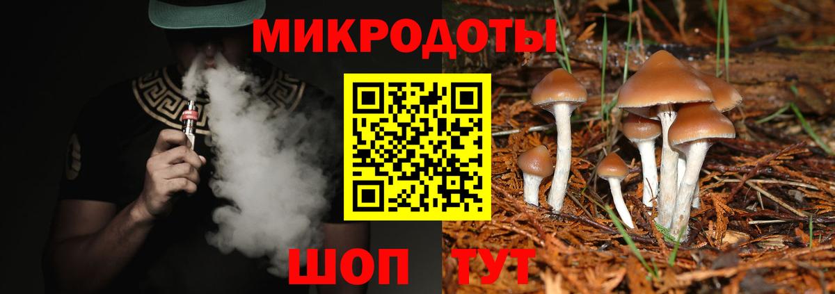 Псилоцибиновые грибы Magic Shrooms Димитровград